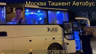 moskva tashkent avtobus