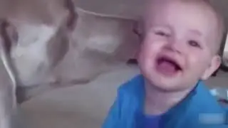 En komik eğlenceli videolar serisi..Derleme - 2 -