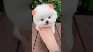 So cute _______😘