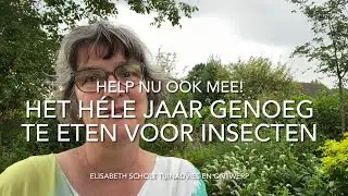 HET HELE JAAR GENOEG TE ETEN VOOR INSECTEN