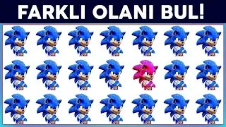Find the One That's Different! I Bet It Won't Be Easy to Find the Answers! - Sonic the Hedgehog 2...