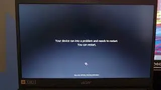 Windows 11 Has BSOD #2 