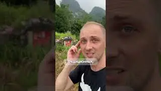 Зубарев l могила фермера☠️🎋🌱 