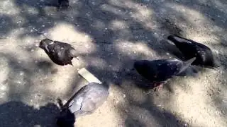 Прикольное сравнение))