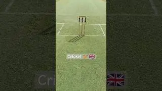 Cricket Lovers 🏏 | #shorts #uk #northamptonshire  #cricket #cricketground