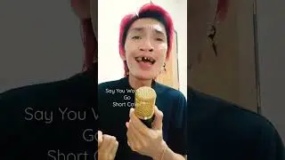 Say You Wont Let Go Cover 