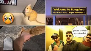 MY CAT DIED?😭 | HOW IS BANGALORE FOR PEOPLE OF MUMBAI?🤯 (My first visit)