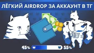 CATS&DOGS ЛУЧШЕ ЧЕМ HAMSTER COMBAT И ВОТ ПОЧЕМУ