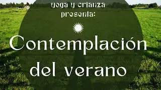 CONTEMPLACIÓN DEL VERANO. Reflexiones de la estación