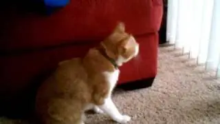 Manny birdwatching