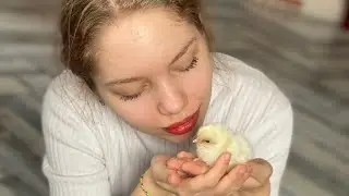 АЛКОГОЛЬ И ПОДРОСТКИ неприятная ситуация