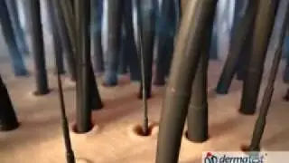 BIOXCIN FAYDALI MI