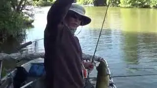 CHANNEL CATS CRUSH ... CRAWDADS ! ...4-23-14