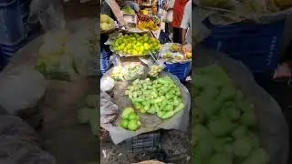 Kolkata Tour | Kolkata Vlog | kolkata Dairy | Kolkata Tourist Places | #shorts #song