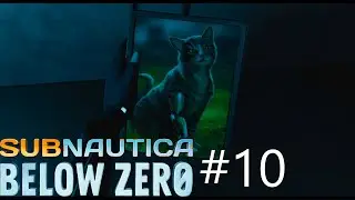 Котенок по имени Картошка  Subnautica: Below Zero #10