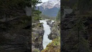 Mesmerizing nature of Canada 🇨🇦#canada #travel #banff #waterfall #jasper