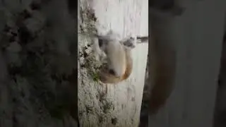 😆😆😆