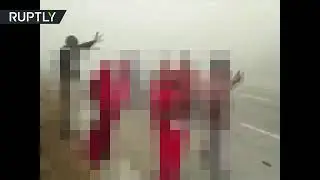 ءءءءء