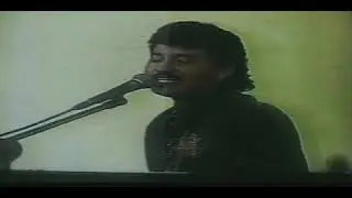 Tropical FLORIDA - No Podras