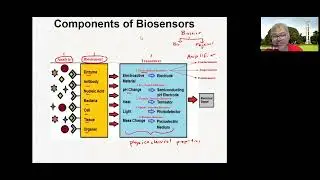 Chem 233 12/06/2023