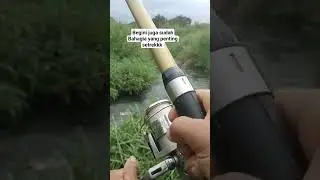 bahagia itu sederhana #disungai #fhising #mqncing #mancing