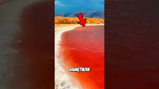 Опасная Красная Вода! 😱