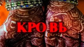 Йога омоложения. Кровь Часть II | Blood. Part II
