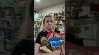 Когда вернулась из зоомагазина🤣 #смешныевидео #смешныеживотные #попугай #попугаи