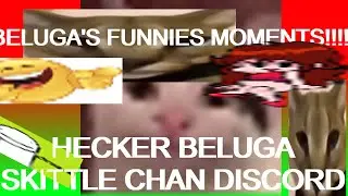 BELUGA FUNNY MOMENTS PART 1