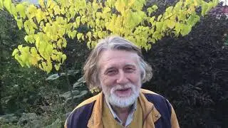 Карма. Это хорошо или плохо?