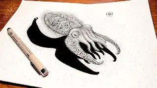 Cuttlefish: Liner Drawing Speedpaint