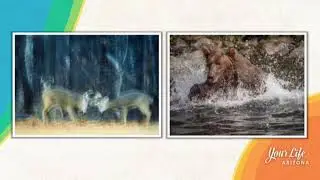KTVK 2017 03 23 1017 Capture PhotoCon   Nicholas Pappagallo 04m40s
