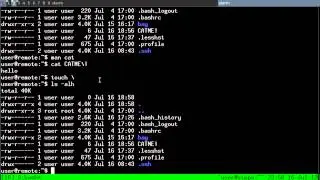 Linux Sysadmin - Filesystem Reading