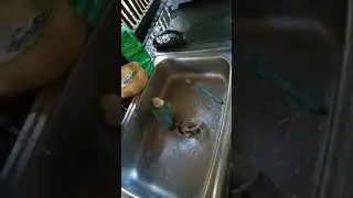 Ligo muna sya mabaho na daw sya.