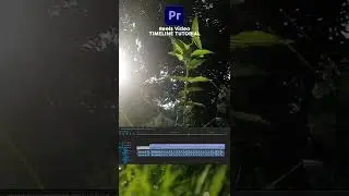 How to Create Amazing Reels in Adobe Premiere Pro 🔥| Best BeatSync Power of Premiere Pro 