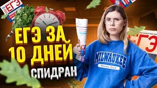 ЕГЭ по ИНФОРМАТИКЕ за 10 ДНЕЙ | СПИДРАН