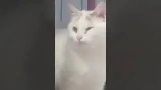 СКОРО!!! ПРЕМЬЕРА!!!