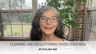 FLYLADY: Cleaning & Decluttering When You Don't Feel Like It #flyladykat