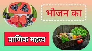 भोजन का प्राणिक महत्व|| Ajay Sagar