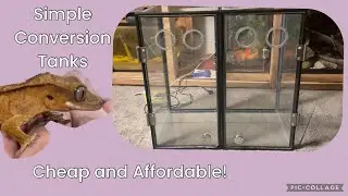 Gecko Conversion Vivariums￼