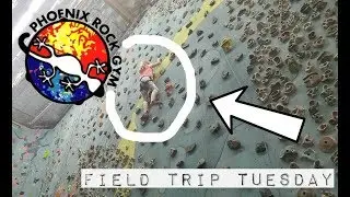 Field Trip Tuesday: ROCK CLIMBING At Phoenix Rock Gym