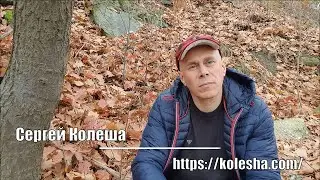Гордыня и сомнения. Гипофиз и имплантаты