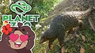 Preparing for PANGOLINS!! 🐼 Daily Planet Zoo! • Day 11