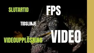 Skapa video - de första stegen (del 1 av 2)