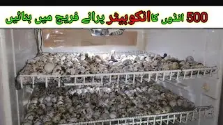 How To Make 500 Egg Incubator At Home Using Old Refrigerator
