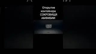 открытие контейнера сокровище анфибии