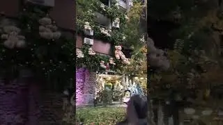 Украшают Ереван к новому году)