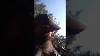 Taking a break in the woods. Crazy, right?