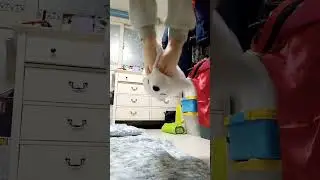 인형 2분간 밟기 민준 김님 추천!!! 중간에 동생옴
