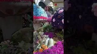 Bellagio Conservatory Botanical Gardens | Autumn Display 2023 
